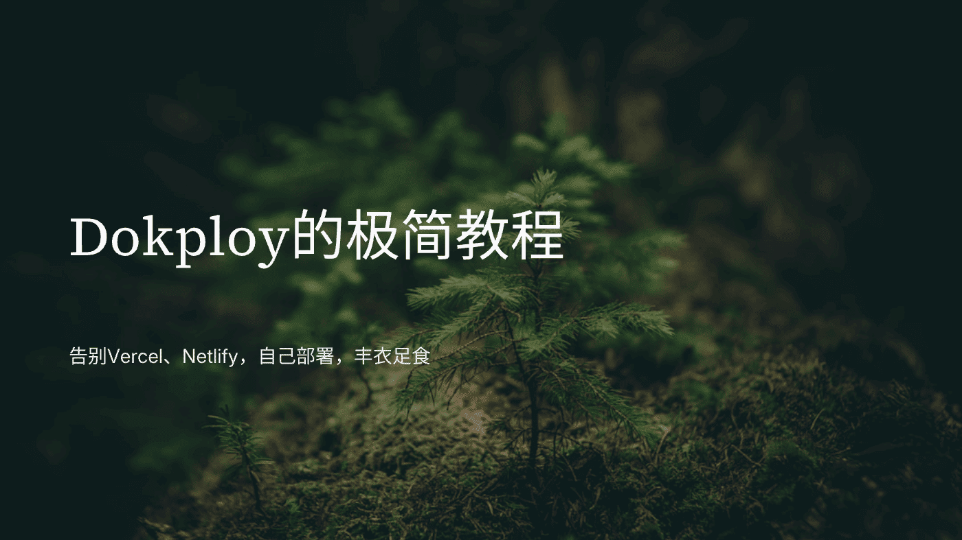 Dokploy的极简教程